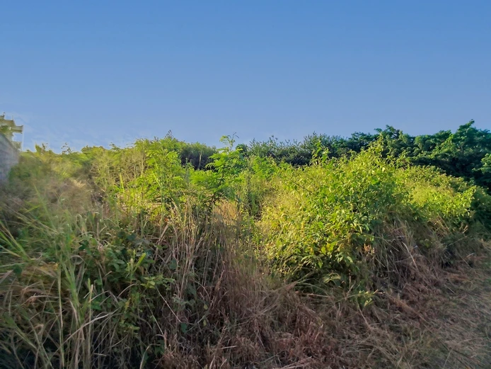 For Sale Calodyne Residential Land