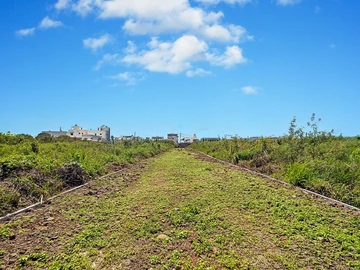 Land