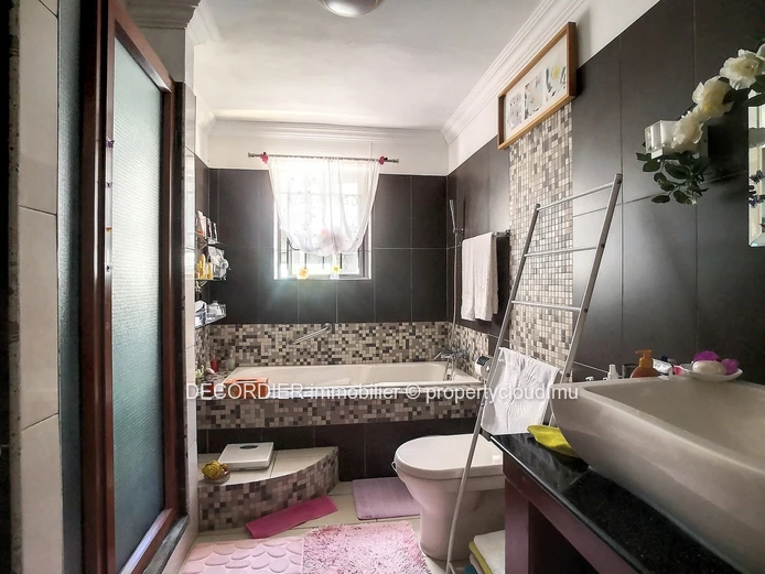 Grande maison individuelle avec piscine et jardin arborée