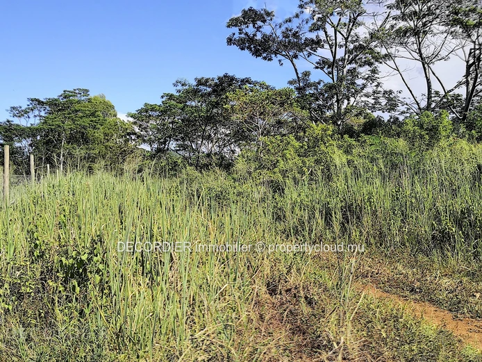 Terrain agricole de 464.62 arpents en vente de Quartier de la savanne à Chamarel