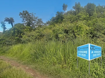 Land