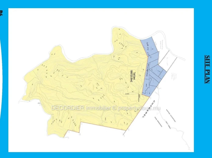 Terrain agricole de 464.62 arpents en vente de Quartier de la savanne à Chamarel