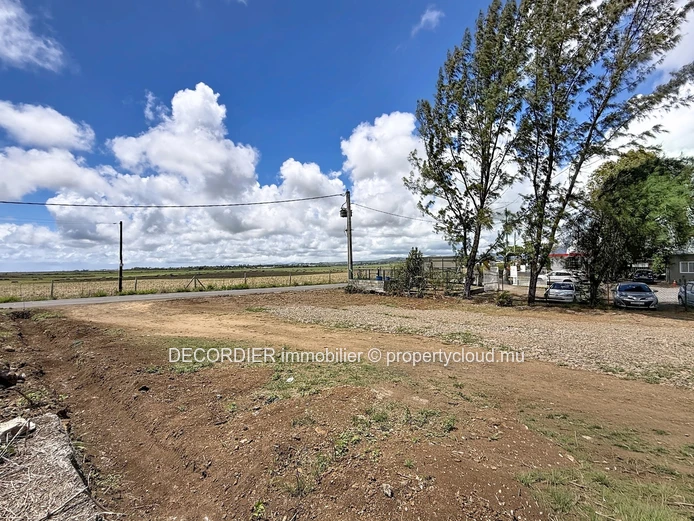 Your future residential project on a spacious plot (Sole Mandate)