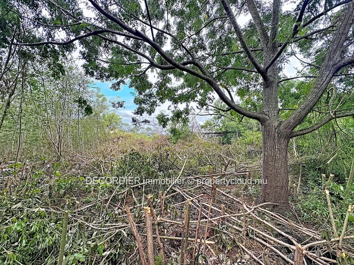 Terrain à vendre à Grand Baie - 536m2