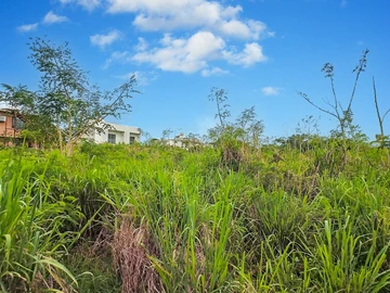 Land