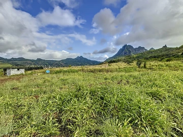 Land