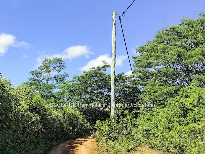 Terrain agricole de 464.62 arpents en vente de Quartier de la savanne à Chamarel