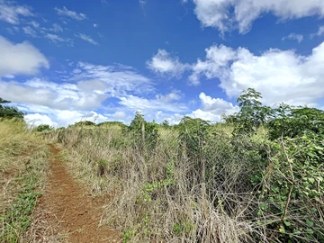 Land