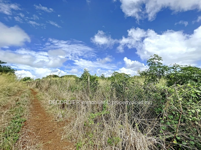 Large agricultural land ideal for an eco development project