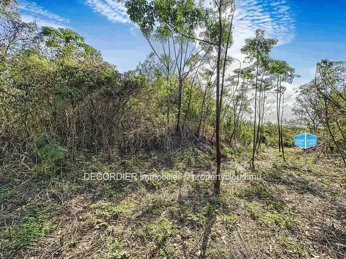 À Vendre La Salette Grand Baie Terrain Constructible