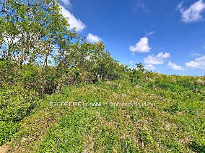Invest in the future: Agricultural land with approved project (Sole Mandate)
