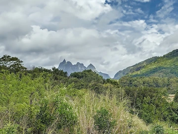 Terrain
