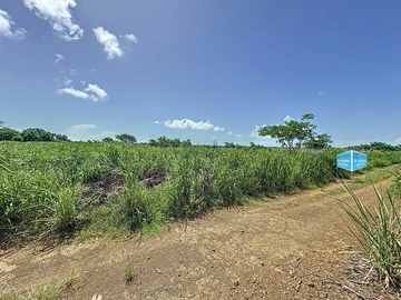 Land