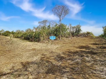 Terrain