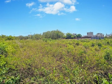 Land