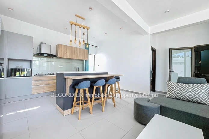 New single storey house with swimming pool and garden