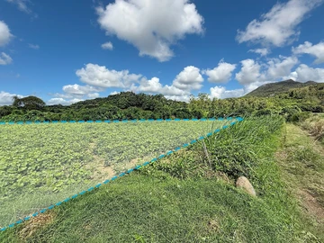 Terrain