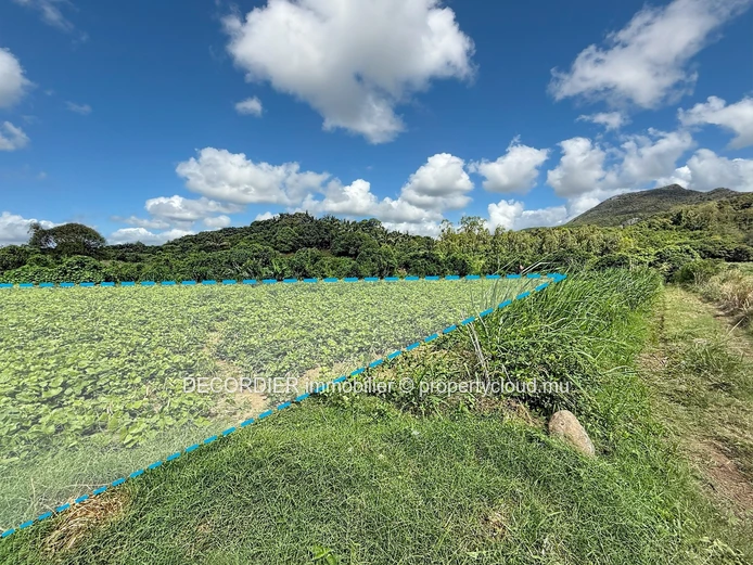 Rare on the market – Spacious agricultural land