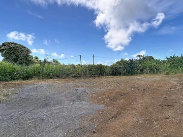 Land