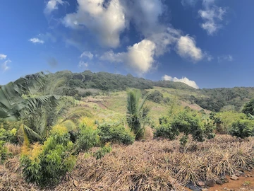 Land
