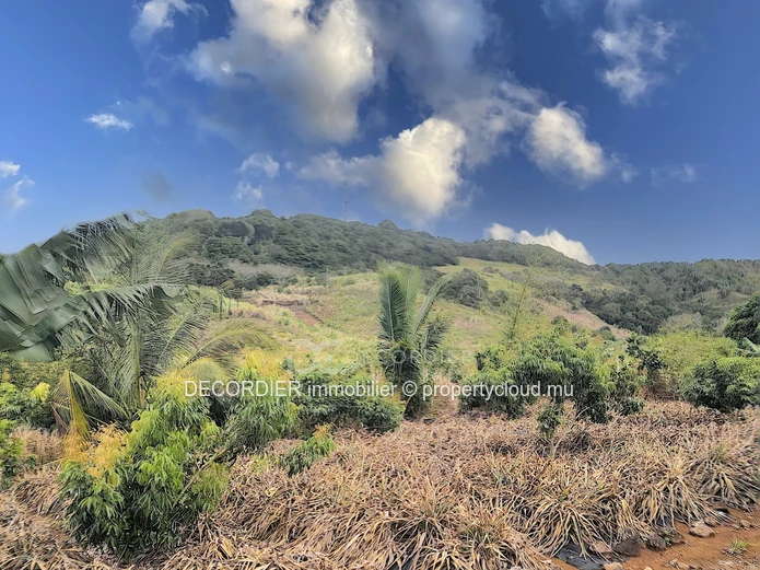 Agricultural land near Savanne river. (Sole Mandate)