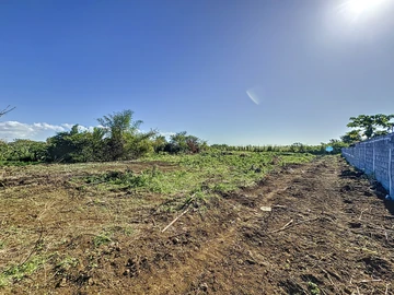 Land
