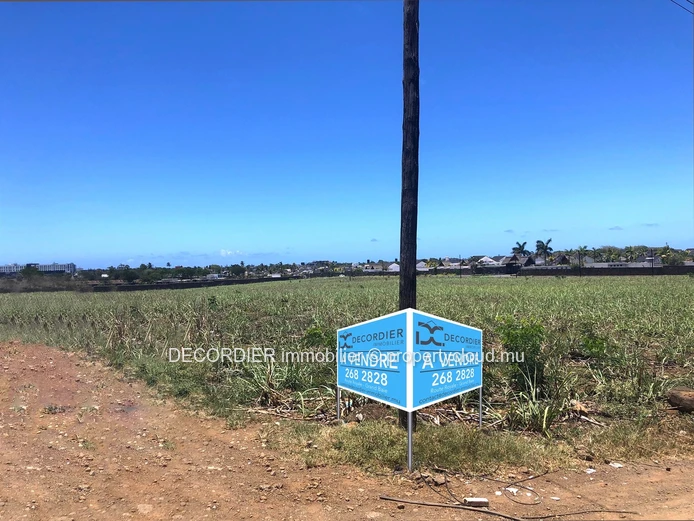 Magnificent land for real estate development / investor