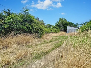 Land